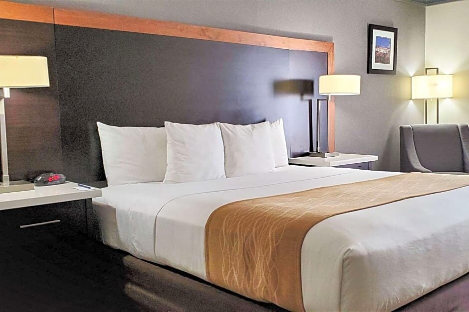Двухместный номер Deluxe Comfort Inn & Suites Near Universal - North Hollywood - Burbank