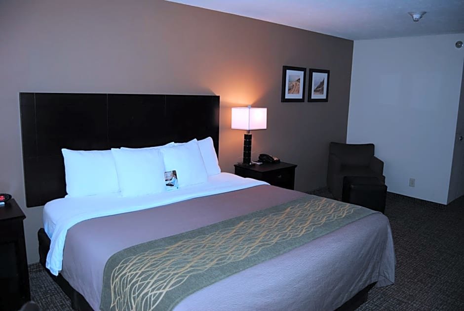 Standard Zimmer Comfort Inn & Suites Porter near Indiana Dunes