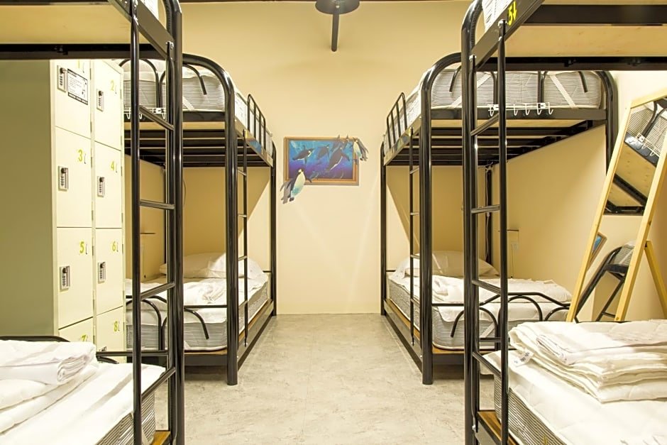 Кровать в общем номере (женский номер) Pathways Hostel