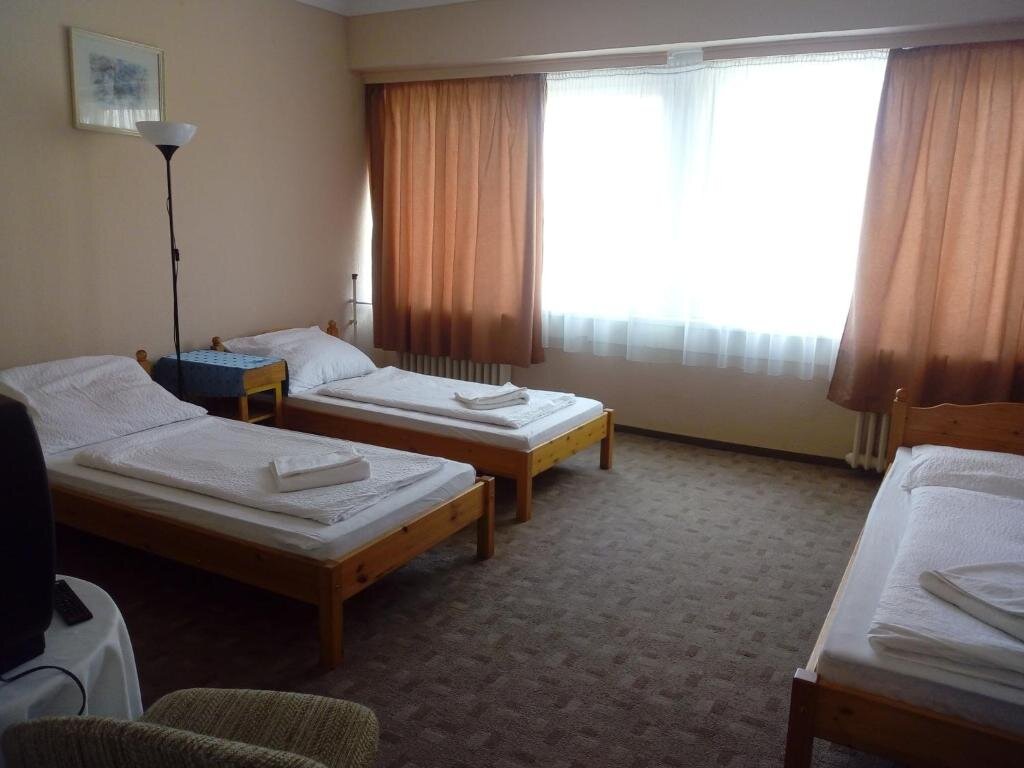 Standard Triple room with view Hotel Tara