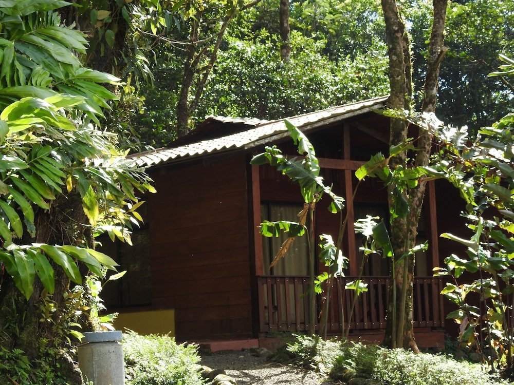 Номер Standard Heliconias Rainforest Lodge