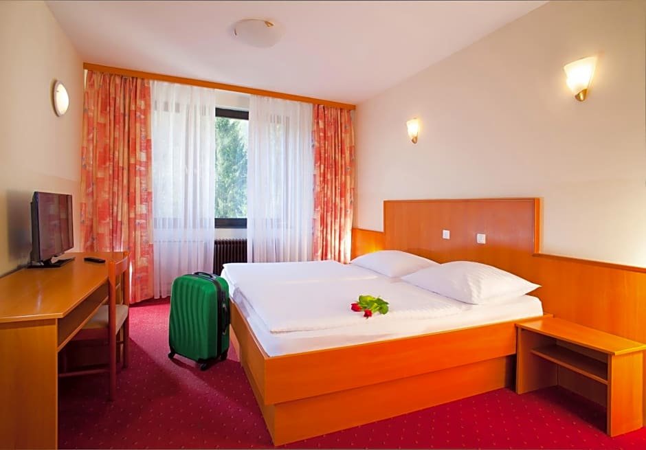 Standard Zimmer Hotel Vesna