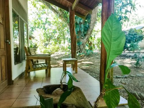 B&B Arca De Noe 2* Caletas, Costa Rica. Book Hotel B&B Arca De Noe 2*