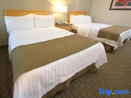 Двухместный номер Premium Holiday Inn Cuernavaca, an IHG Hotel