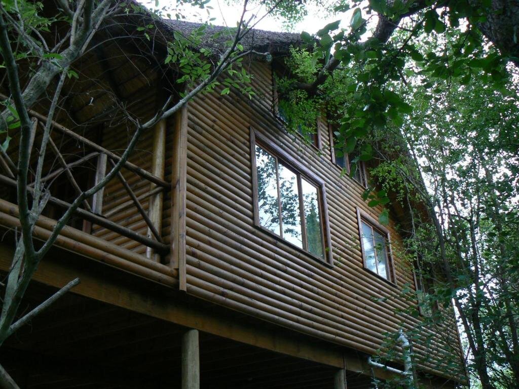 Habitación Estándar Lion Tree Bush Lodge