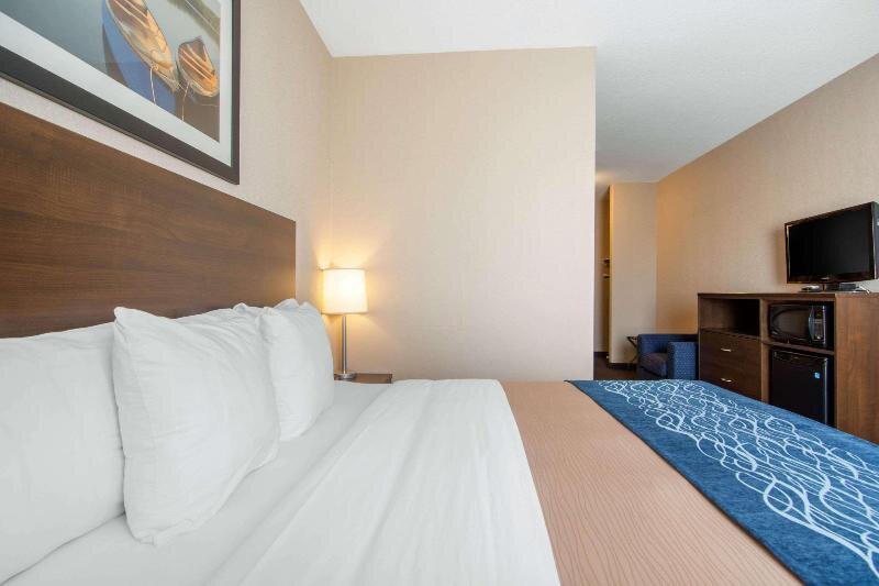 Standard Zimmer Comfort Inn & Suites