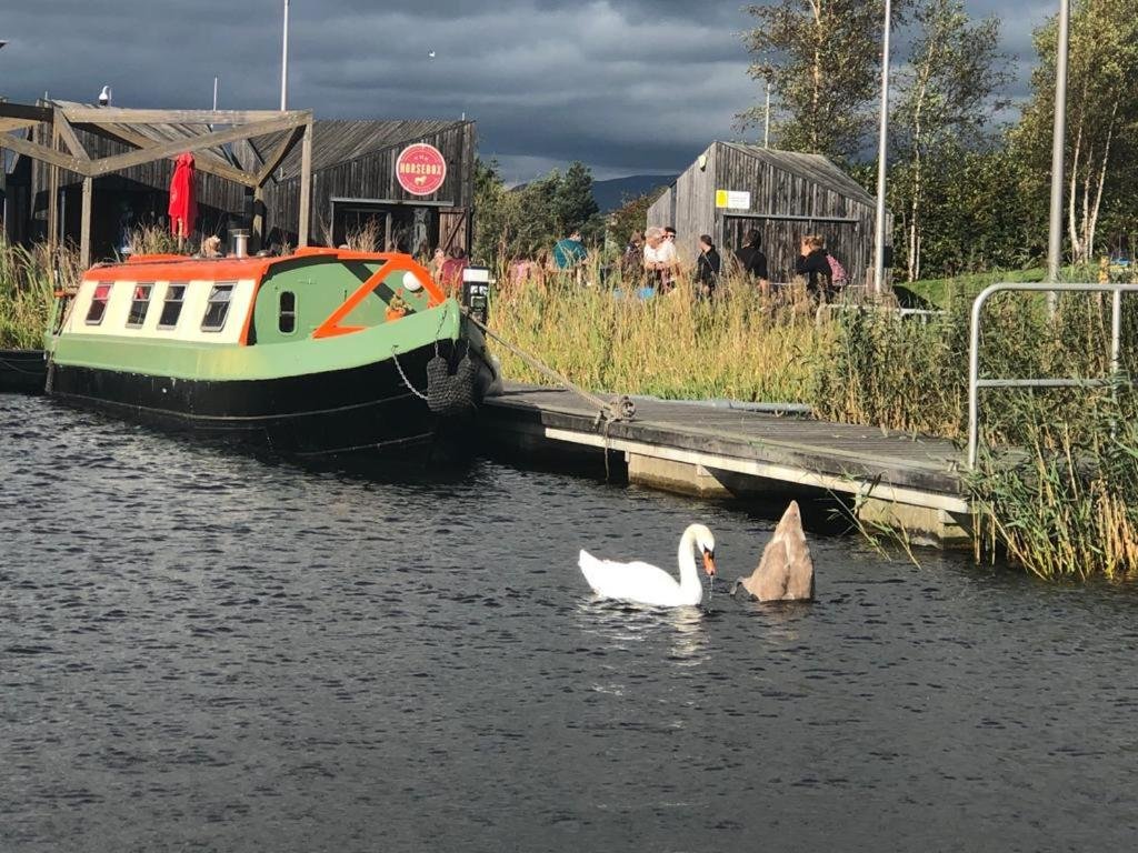Номер Standard NEW 2022! Fixed stay characterful narrowboat at the Kelpies, Marigold Sunset