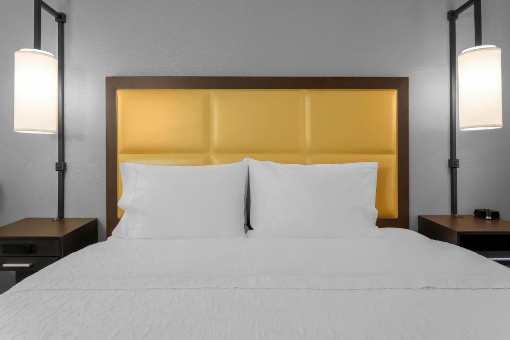 Двухместный люкс c 1 комнатой Hampton Inn & Suites Austin-Downtown/Convention Center