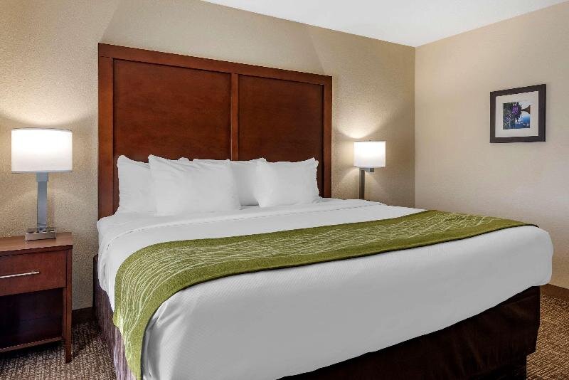 Люкс Standard Comfort Inn & Suites Pueblo