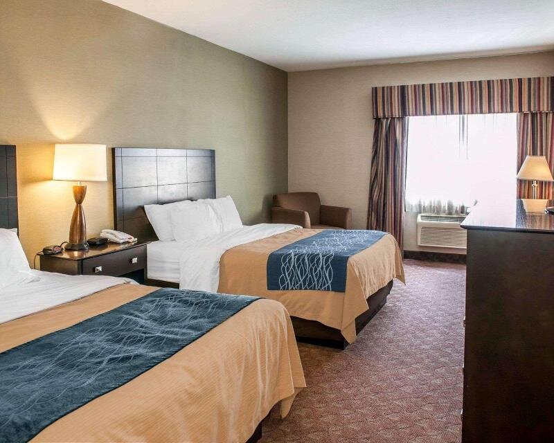 Standard Zimmer Comfort Inn