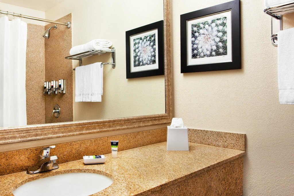 Двухместный номер Standard Four Points by Sheraton Tucson Airport