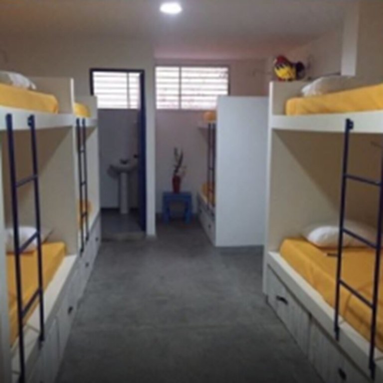 Кровать в общем номере (женский номер) La Sucursal Hostel