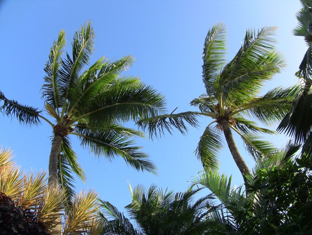 Haleiwa Sunshine 3 Bedroom Home 普普科亚