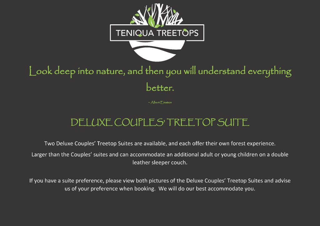 Люкс Deluxe Teniqua Treetops