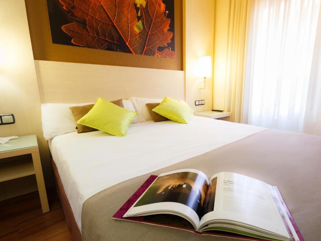 Double room Hotel Condes de Haro