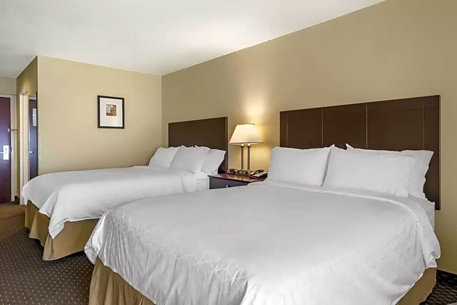 Номер Standard Comfort Inn & Suites Dahlonega University Area