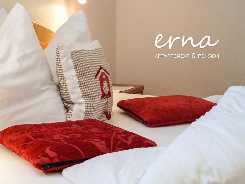 Standard Doppel Zimmer Pension Apartment Erna
