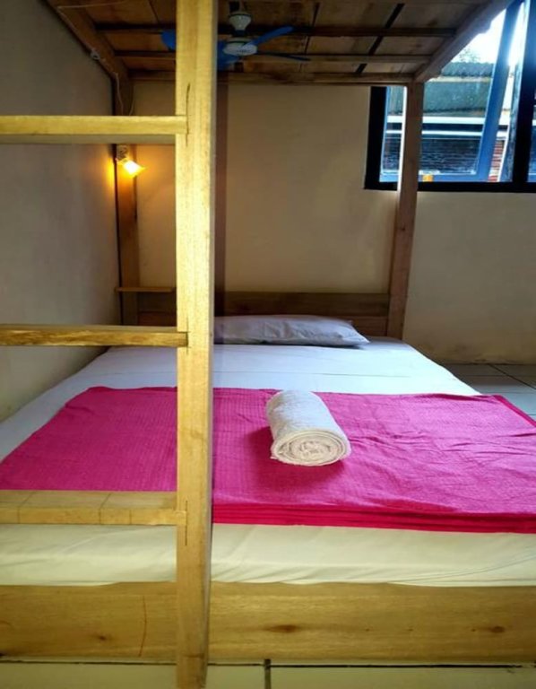 Bed in Dorm Dodo Dormitory Backpacker