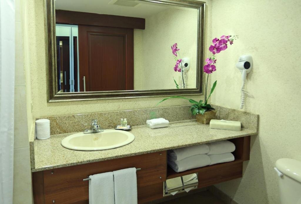 Camera doppia Standard con vista sulla piscina Holiday Inn Panama Canal, an IHG Hotel