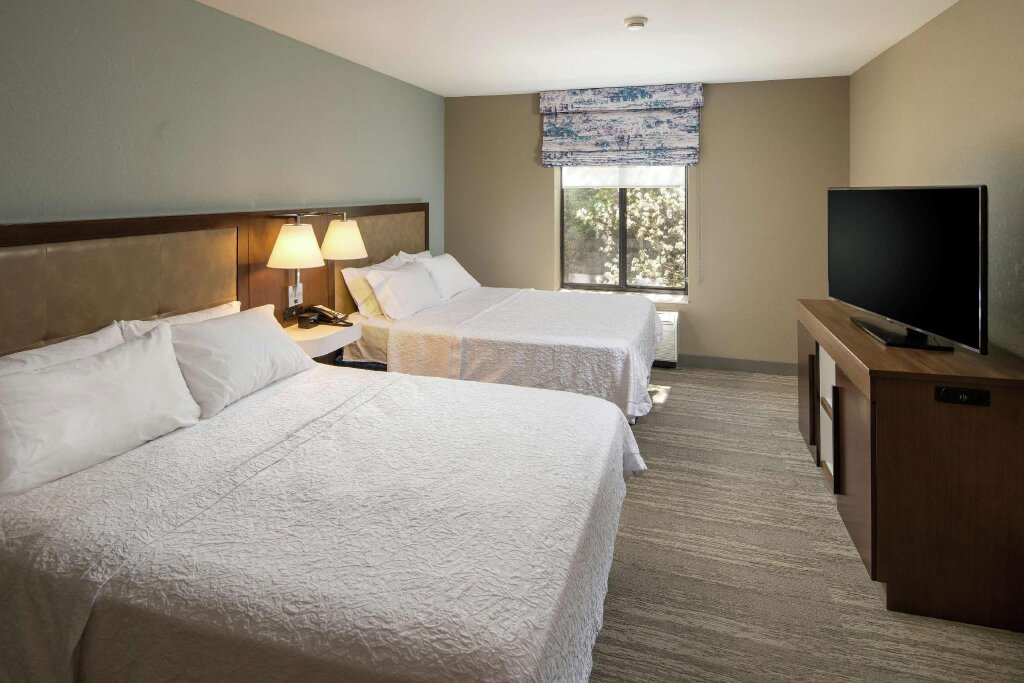 Двухместный люкс c 1 комнатой Hampton Inn & Suites Binghamton/Vestal