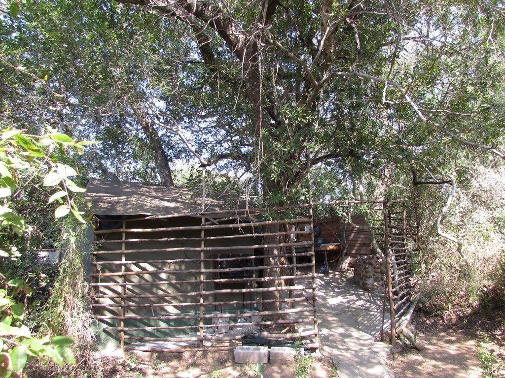 Familie Zelt Amanzimloti Riverside Bush Camp