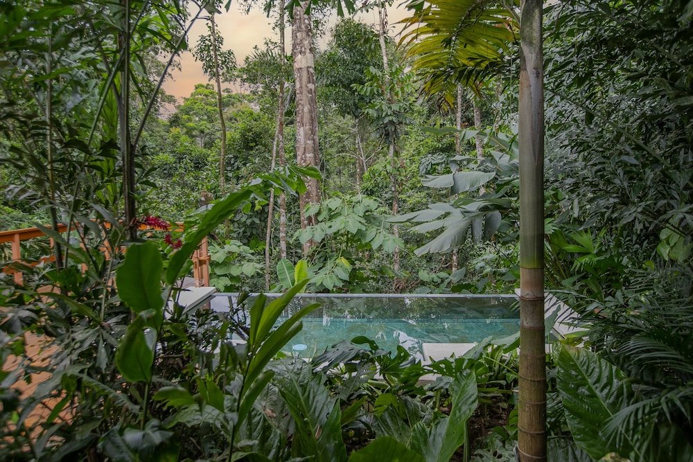 Номер Standard Chachagua Rainforest Hotel & Hot Springs