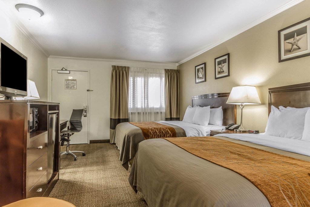 Standard Quadruple room Comfort Inn Santa Cruz