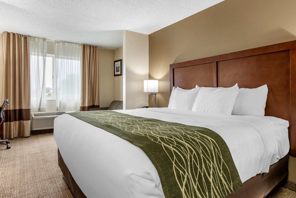 Double suite Comfort Inn & Suites Diamondale - Lansing
