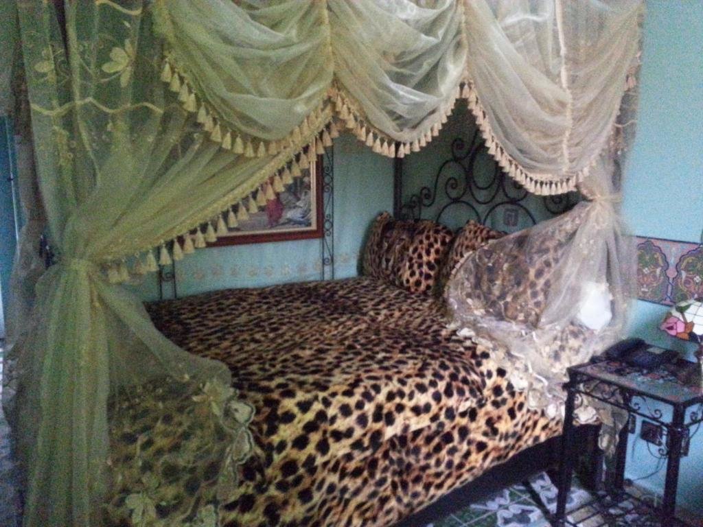 Standard Einzel Zimmer Moroccan House