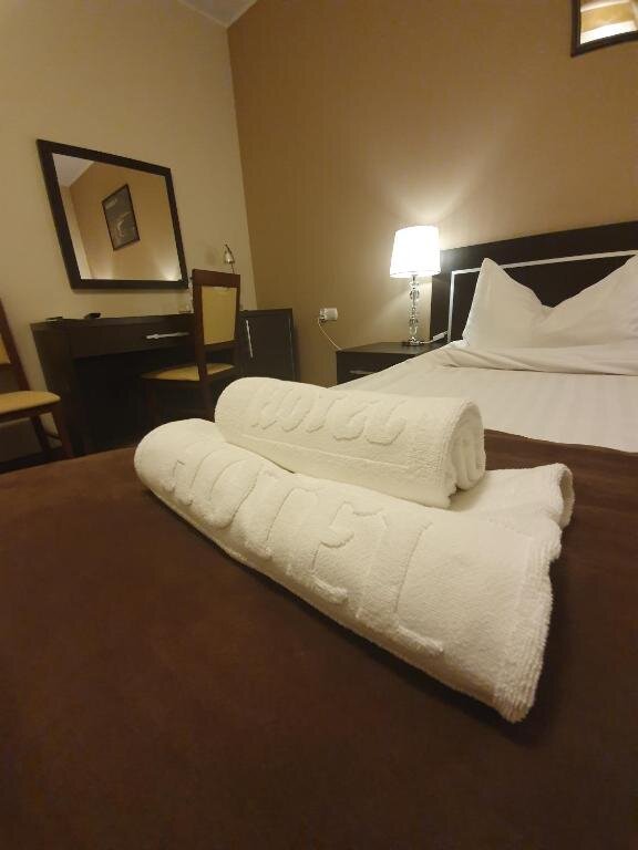 Standard Double room Hotel Pod Dębami