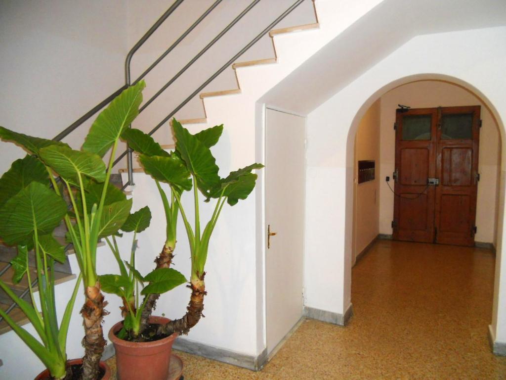 Apartment with 2 bedrooms in Arezzo with WiFi 阿雷佐