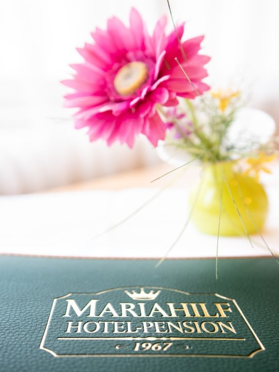 Одноместный номер Standard Hotel Pension Mariahilf