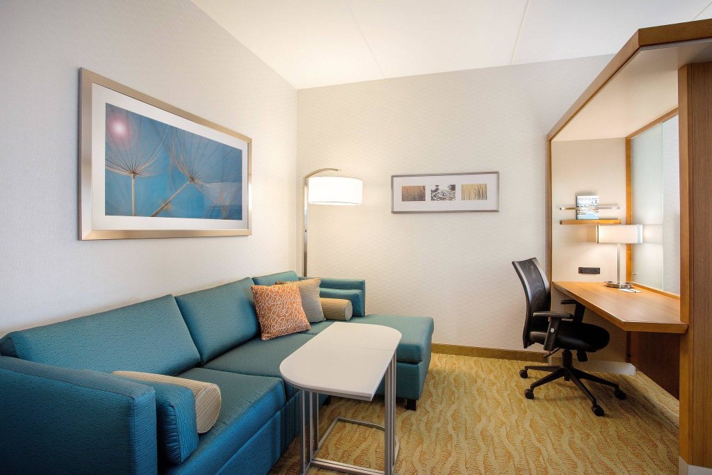 Двухместный люкс SpringHill Suites by Marriott Mount Laurel