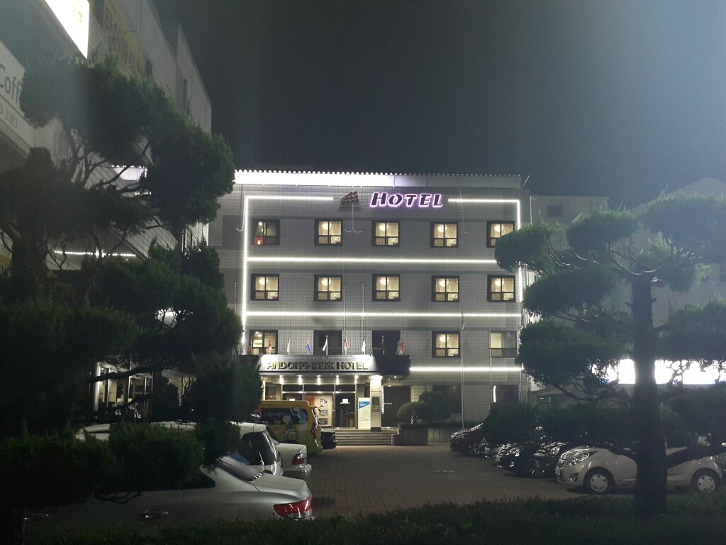 Номер Standard Goodstay Andong Park Hotel