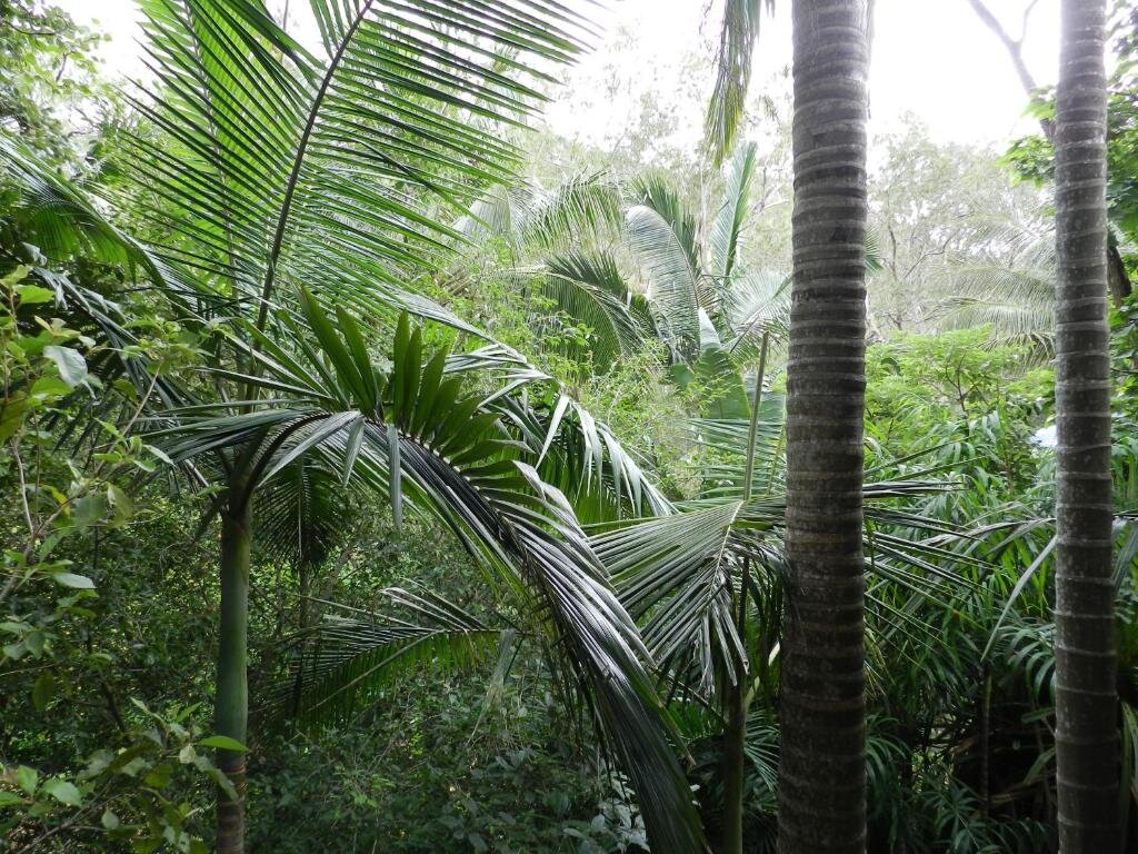 Estudio Oskars Rainforest Retreat