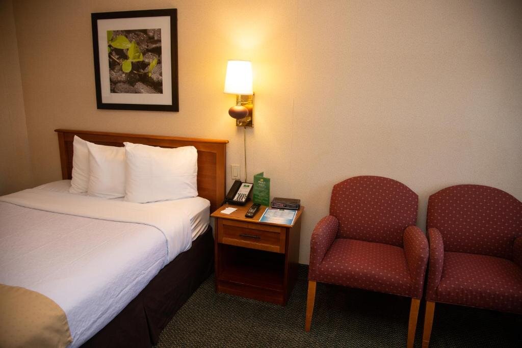 Двухместный номер Standard Holiday Lodge Hotel and Conference Center