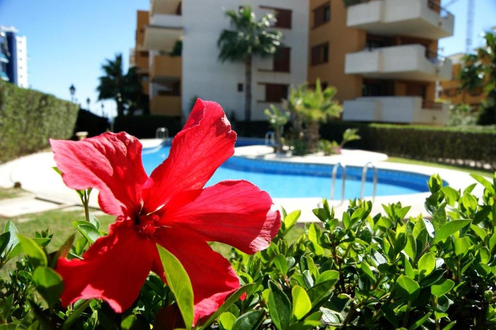 Appartamento con vista sulla piscina Parque Recoleta 2 PISCINAS - CERCA DE PLAYA