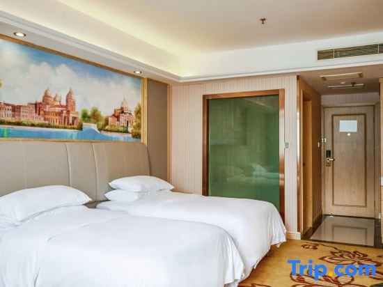 Двухместный номер Deluxe Vienna 3 Best Hotel Shanghai Expo Sanlin