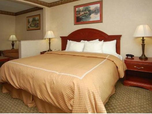 Двухместный люкс c 1 комнатой Comfort Suites Grand Rapids South