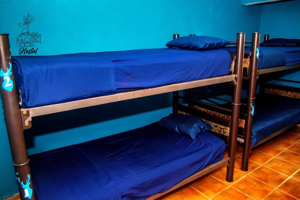 Bed in Dorm (female dorm) Venado 8