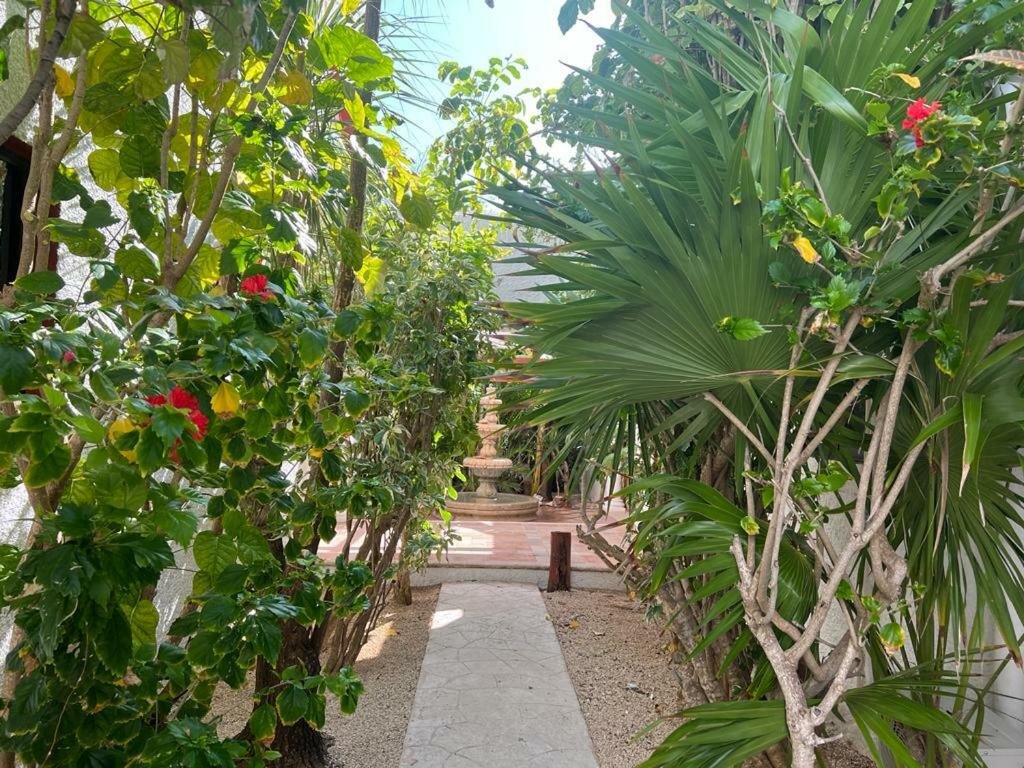 Villa Casa Vista al Mar Isla Mujeres