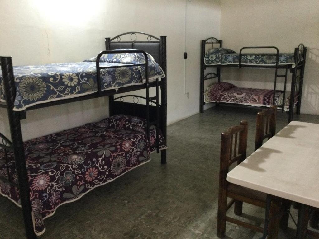 Кровать в общем номере Trotamundo Oaxaca Hostel