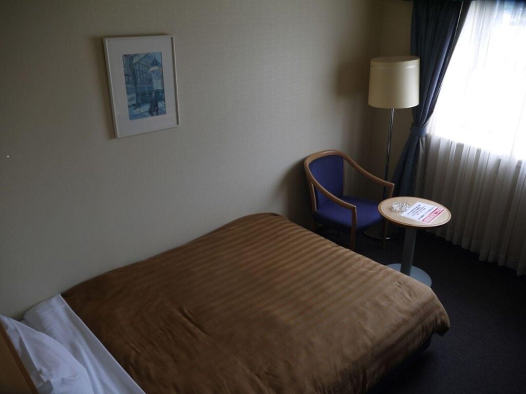 Standard simple chambre Ueno Frex Hotel
