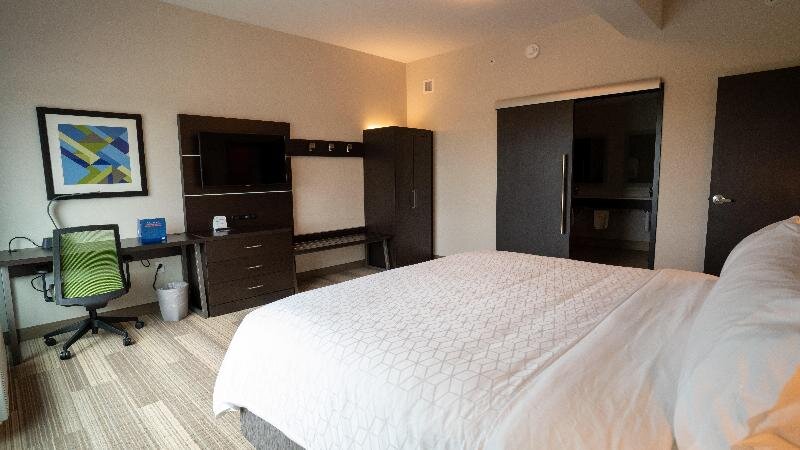 Suite doppia 1 camera da letto Holiday Inn Express and Suites RICHBURG