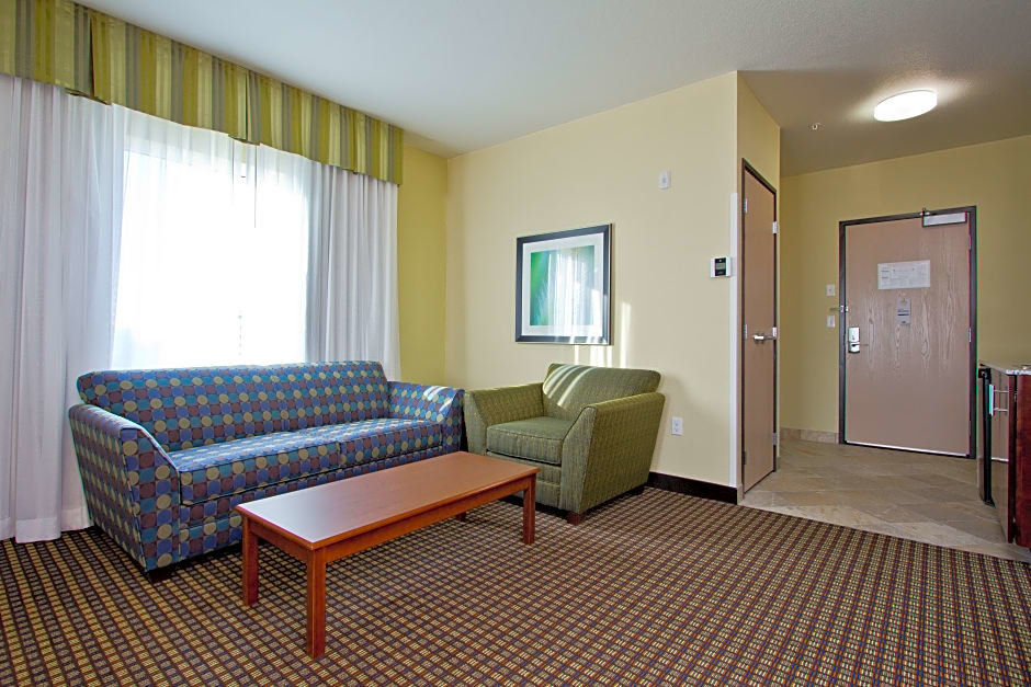 Люкс Holiday Inn Express and Suites Denver East Peoria Street, an IHG Hotel