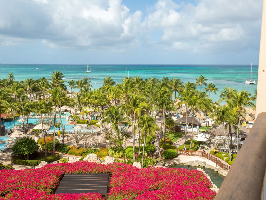 Двухместный номер Standard с видом на океан Hyatt Regency Aruba Resort & Casino