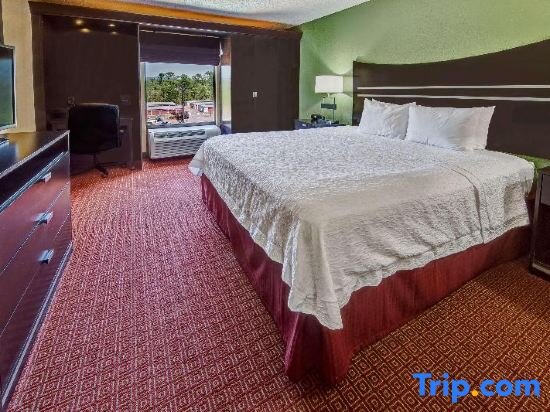 Люкс c 1 комнатой Hampton Inn & Suites by Hilton in Hot Springs, Arkansas
