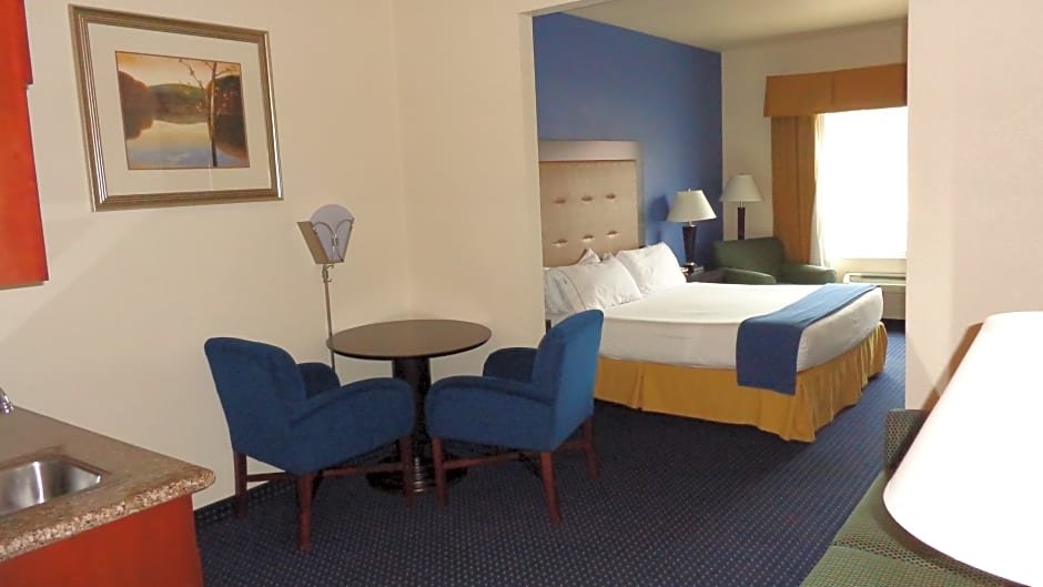 Suite Holiday Inn Express & Suites New Buffalo, MI, an IHG Hotel