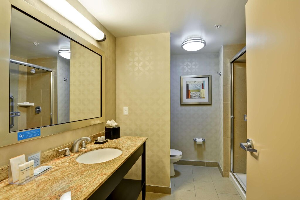 Четырёхместный номер Standard Hampton Inn & Suites Tampa Northwest/Oldsmar