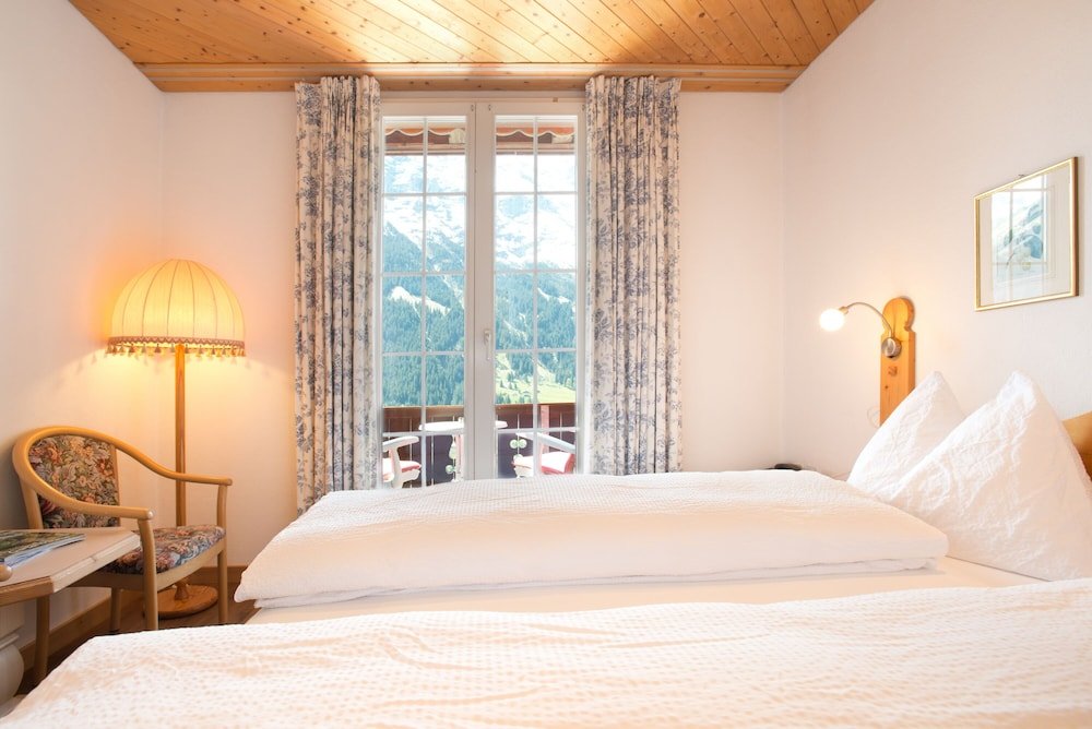 Camera doppia Standard con vista sulle montagne Hotel Sonnenberg